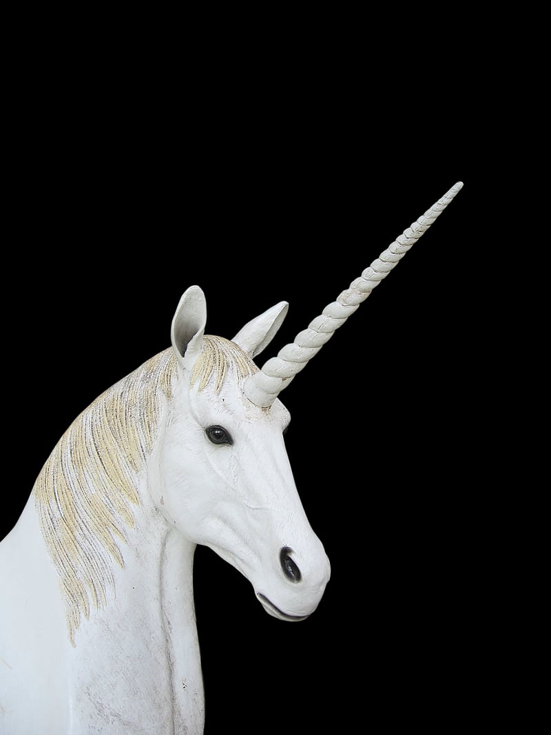 Whimsical Dragon